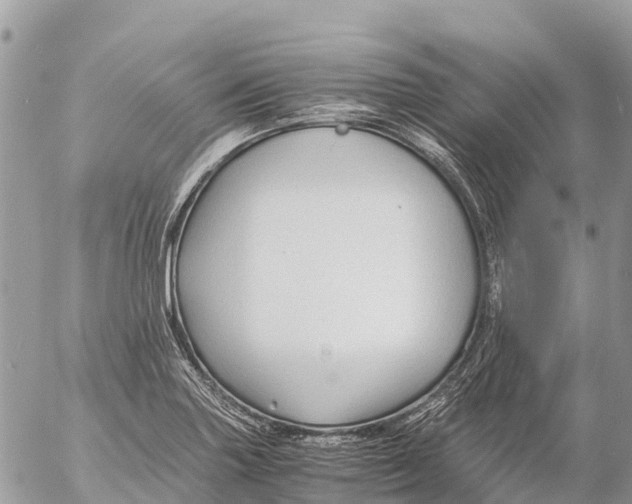 X0000053091227200508081302