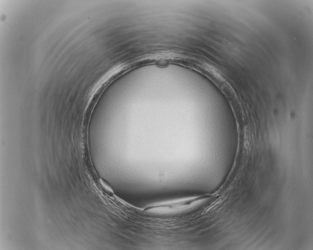 X0000053091229200508081302