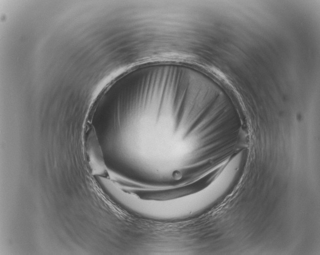 X0000053091230200508081302