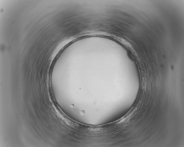 X0000053091231200508081302