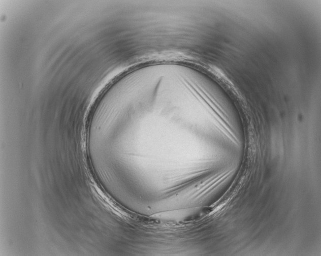 X0000053091232200508081302