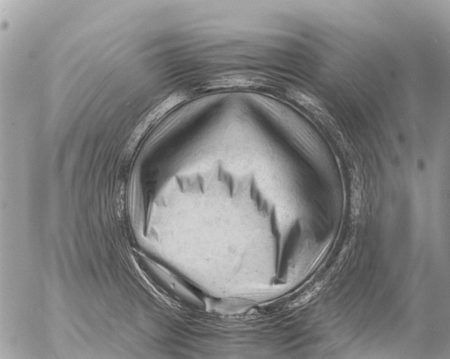 X0000053091233200508081302