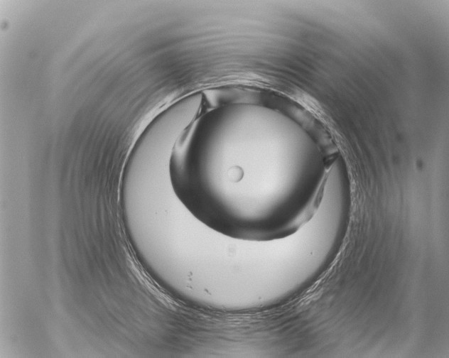 X0000053091234200508081302