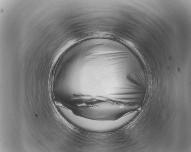 X0000053091235200508081302