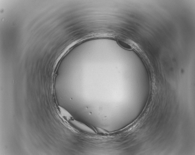 X0000053091236200508081302