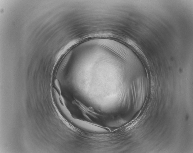 X0000053091237200508081302