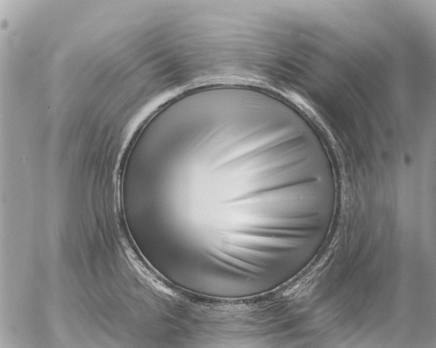 X0000053091238200508081302