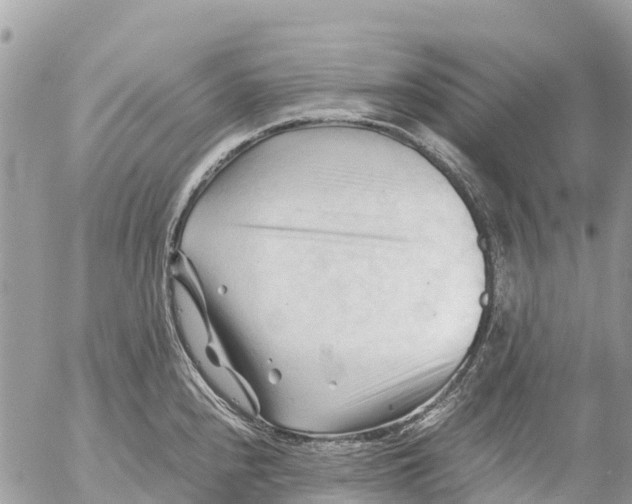 X0000053091240200508081302