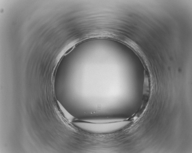 X0000053091242200508081302