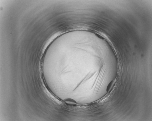 X0000053091243200508081302