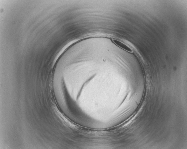 X0000053091244200508081302