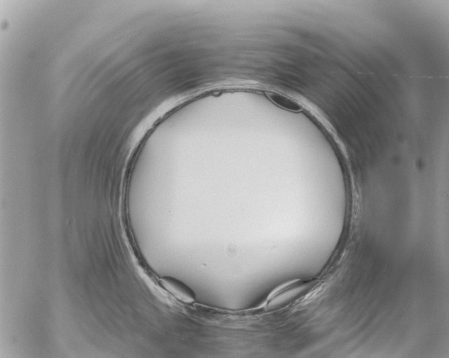 X0000053091245200508081302