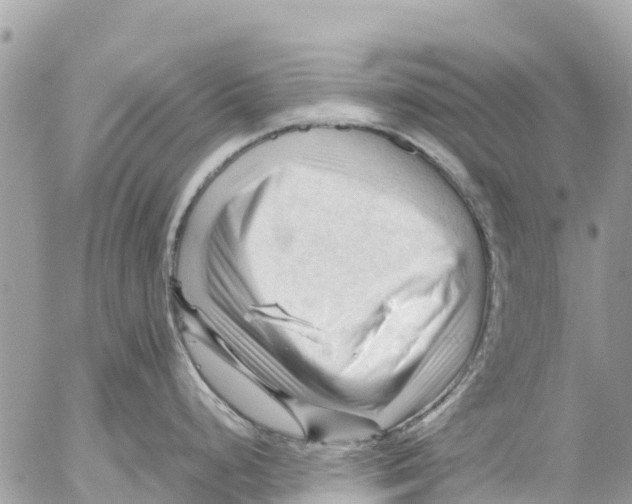 X0000053091248200508081303