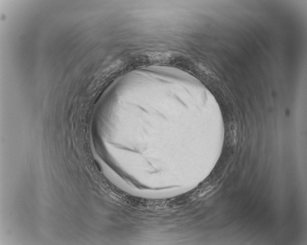 X0000053091249200508081302