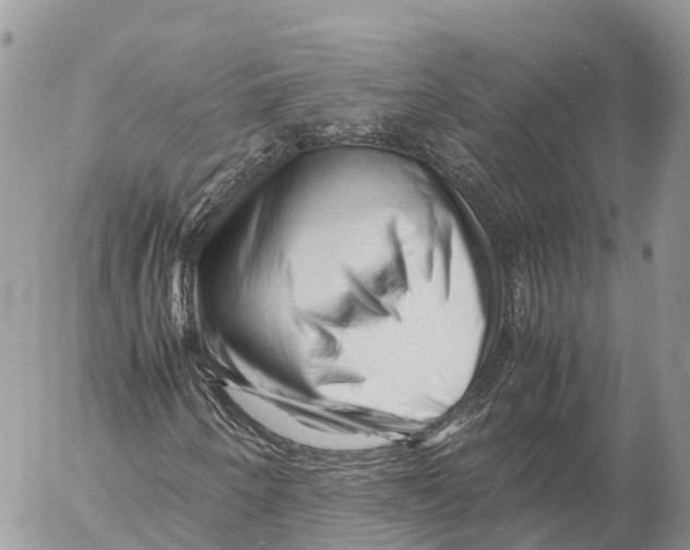 X0000053091250200508081302