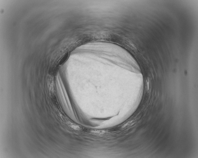 X0000053091251200508081302