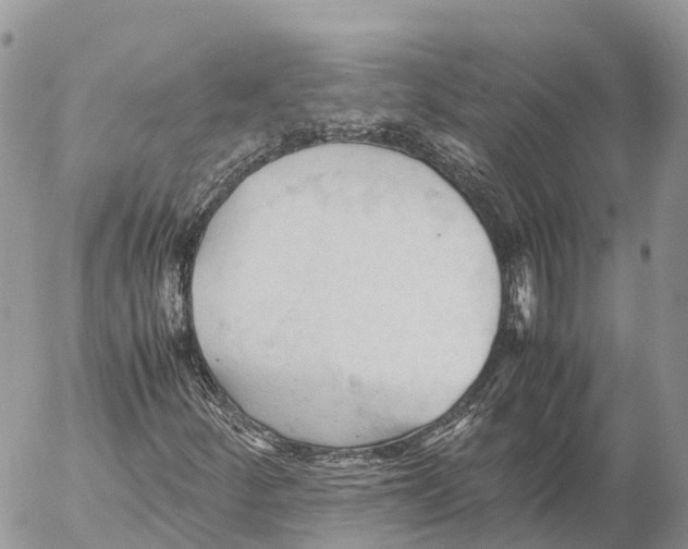 X0000053091252200508081302