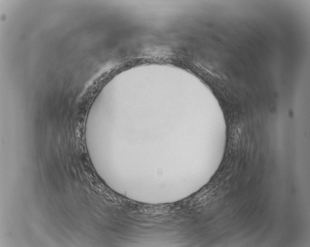 X0000053091254200508081302