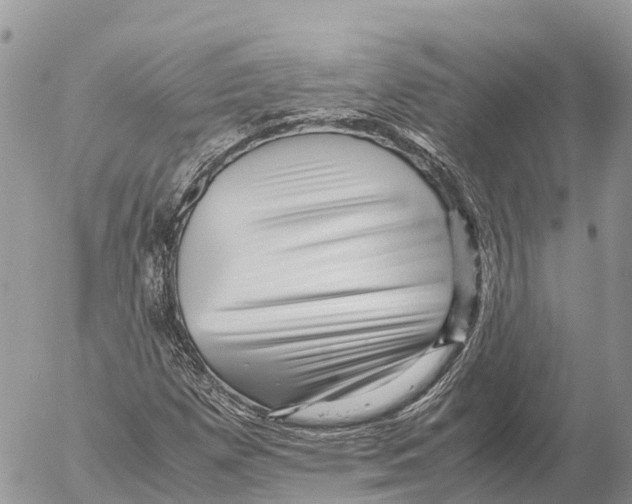 X0000053091257200508081302