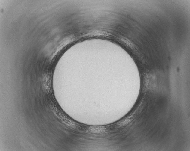 X0000053091258200508081302