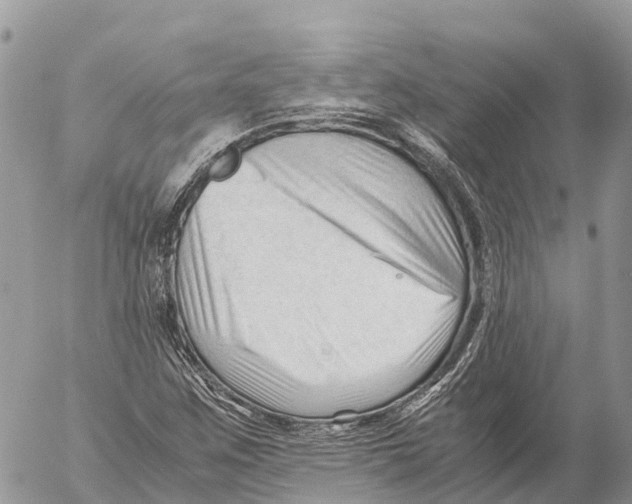 X0000053091259200508081302