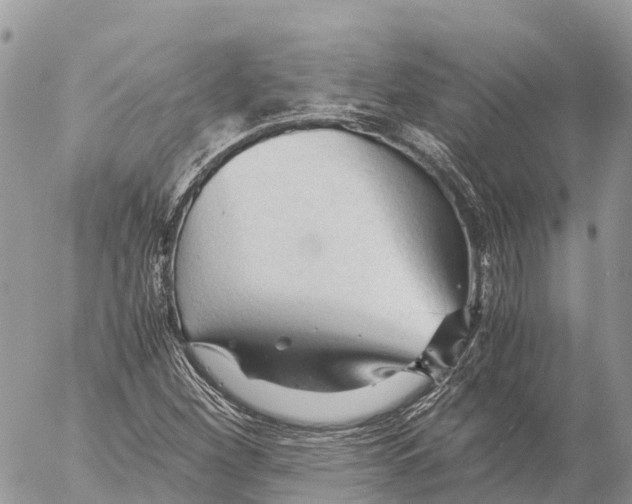 X0000053091260200508081302