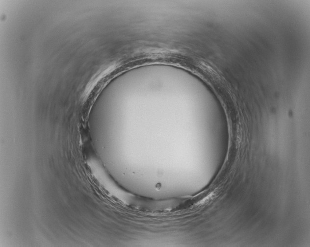 X0000053091261200508081302