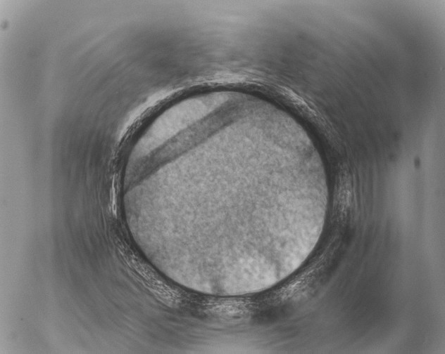 X0000053091262200508081302