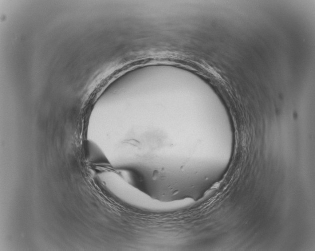 X0000053091263200508081302