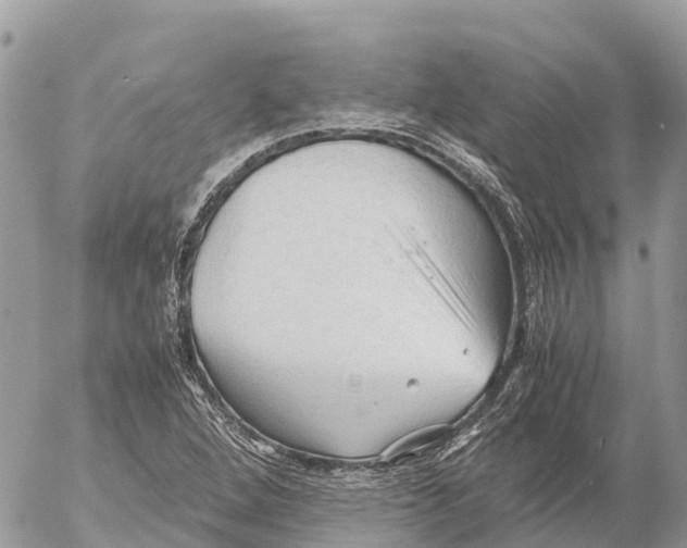 X0000053091264200508081301