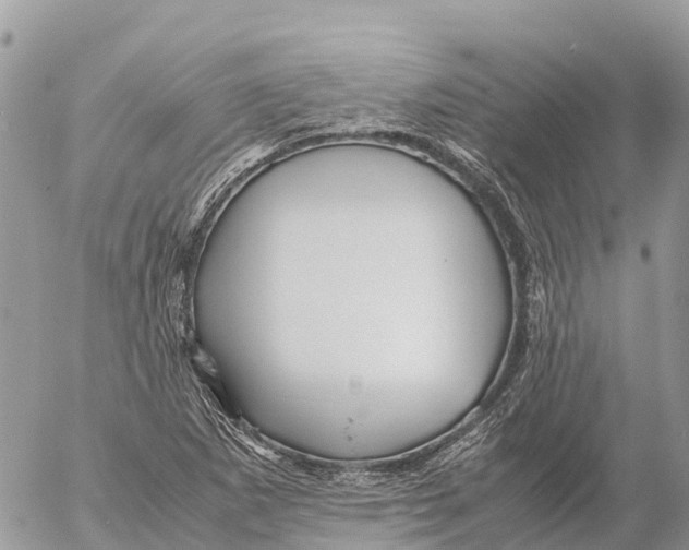 X0000053091265200508081301