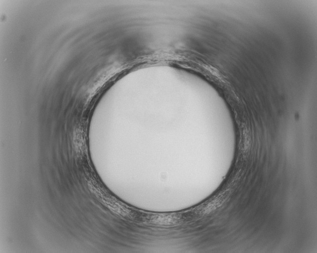 X0000053091266200508081301