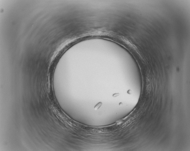 X0000053091270200508081301