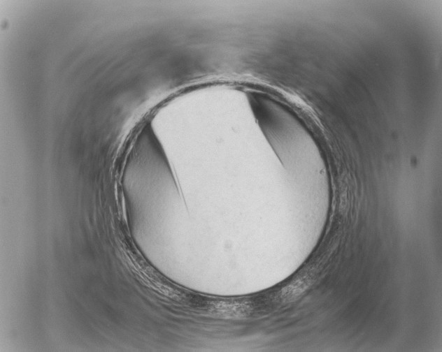 X0000053091271200508081301