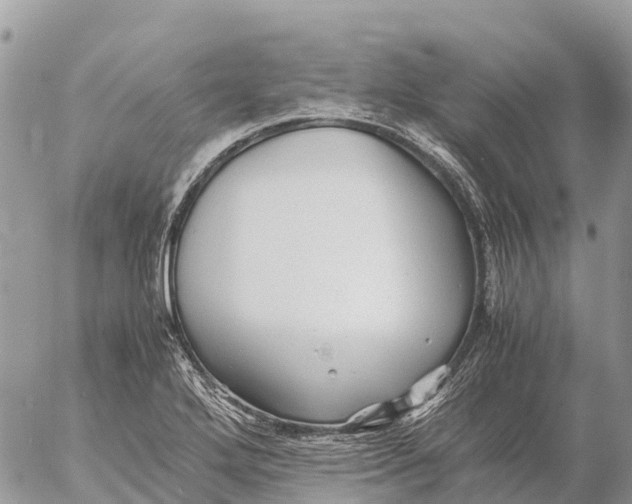 X0000053091272200508081301