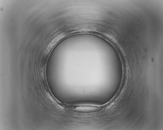 X0000053091273200508081301