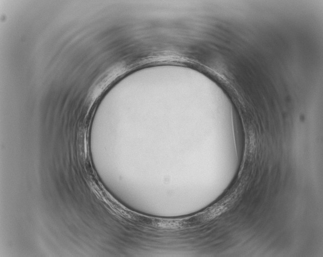 X0000053091274200508081301