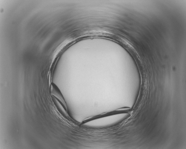 X0000053091275200508081301