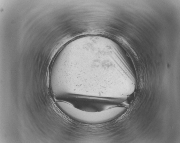 X0000053091276200508081301