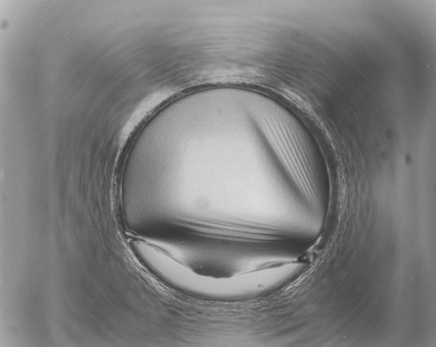 X0000053091277200508081301