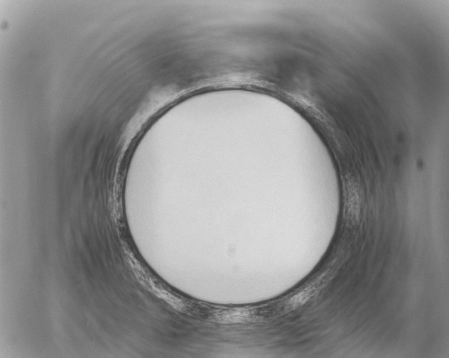 X0000053091278200508081301