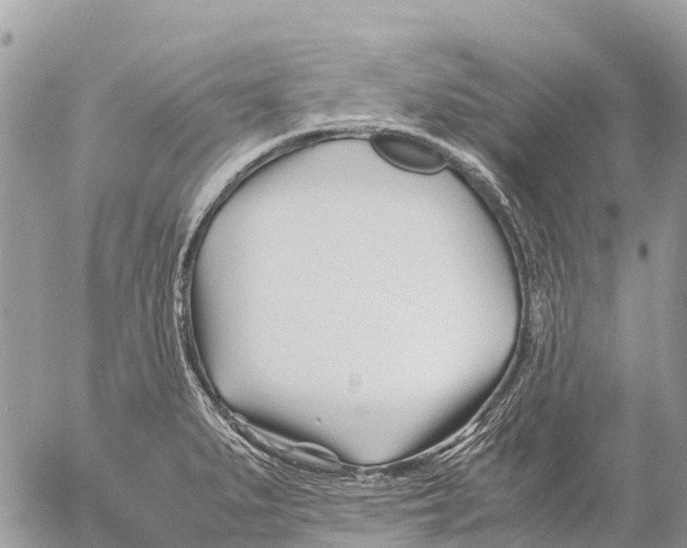 X0000053091279200508081301