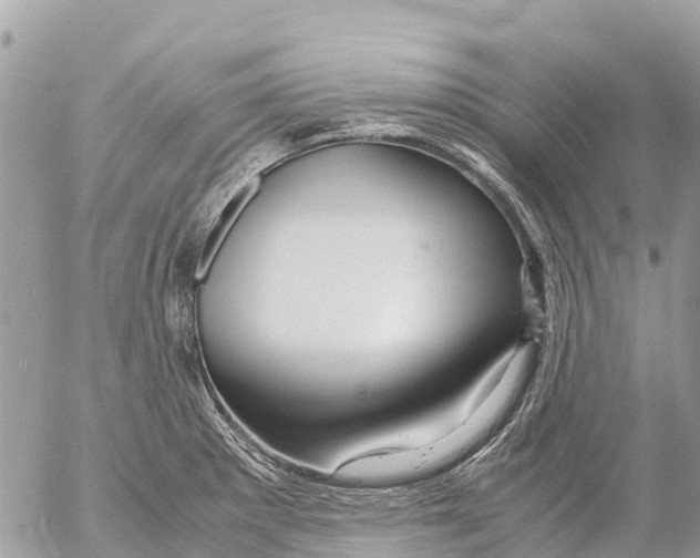 X0000053091281200508081301