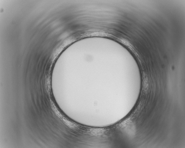 X0000053091282200508081301