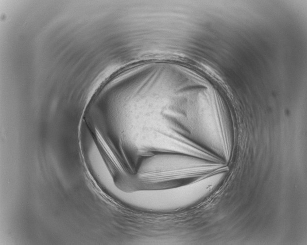 X0000053091283200508081301