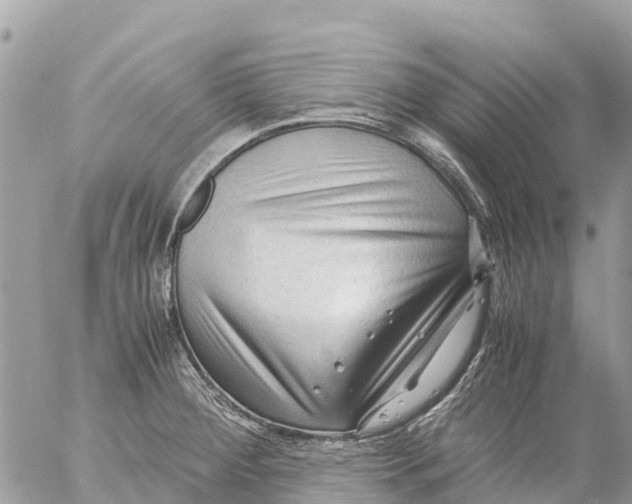 X0000053091284200508081301