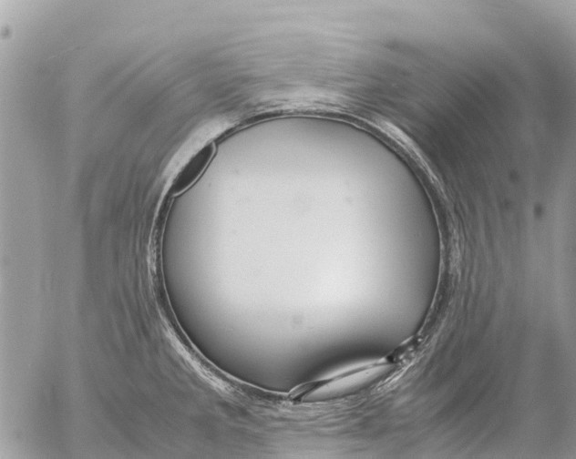 X0000053091285200508081301