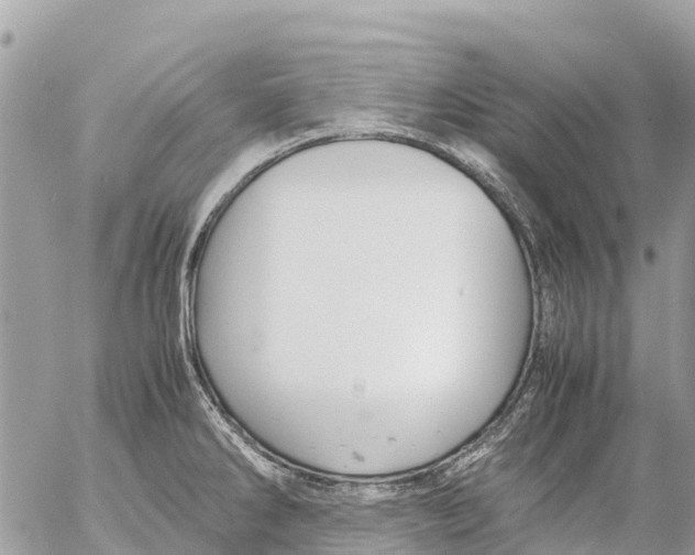 X0000053091286200508081301