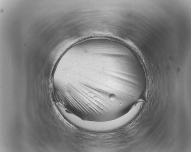 X0000053091287200508081301