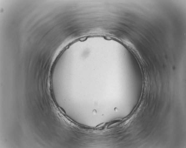 X0000053091288200508081301